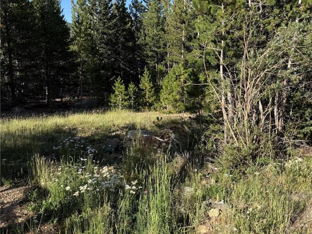 Land for sale in Clear Creek, Colorado