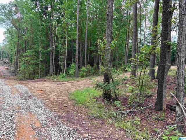 Land for sale in Wedowee, Alabama