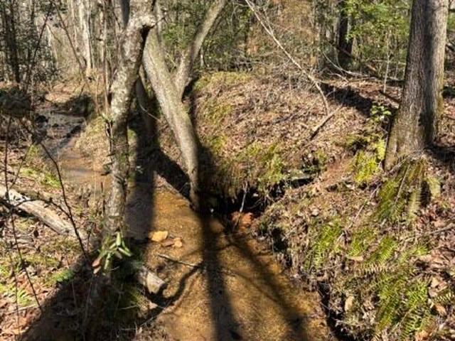 Land for sale in Clarkesville, Georgia