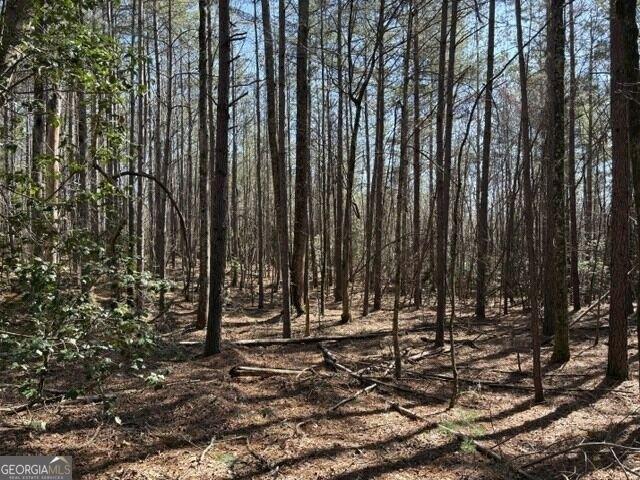 Land for sale in Clarkesville, Georgia