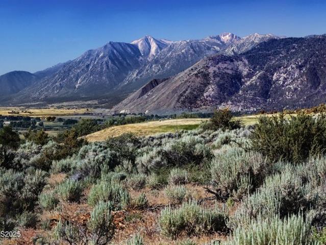 Land for sale in Genoa, Nevada