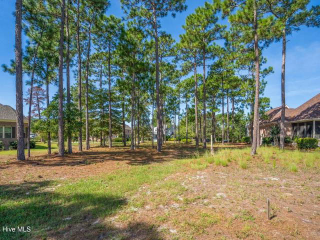 Land for sale in Shallotte, Brunswick County