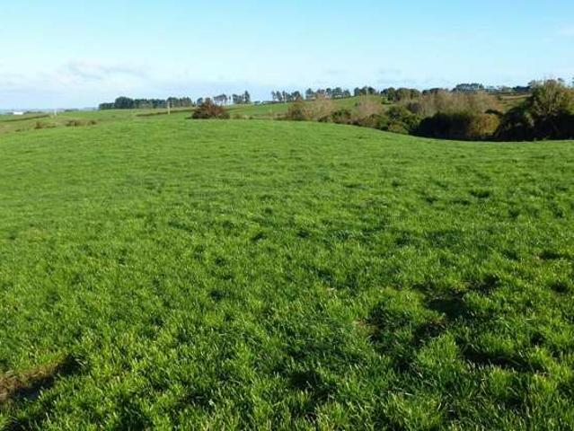 Land for sale in Cardiff, Taranaki