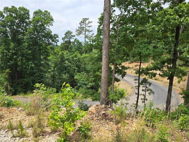 Land for sale in Broken Bow, Oklahoma