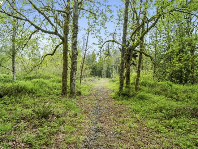 Land for sale in Yacolt, Washington