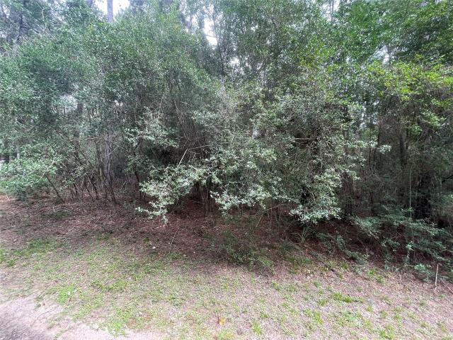 Land for sale in Magnolia, Montgomery County
