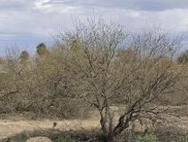 Land for sale in Eloy, Pinal County