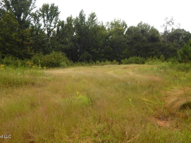 Land for sale in Courtland, Mississippi