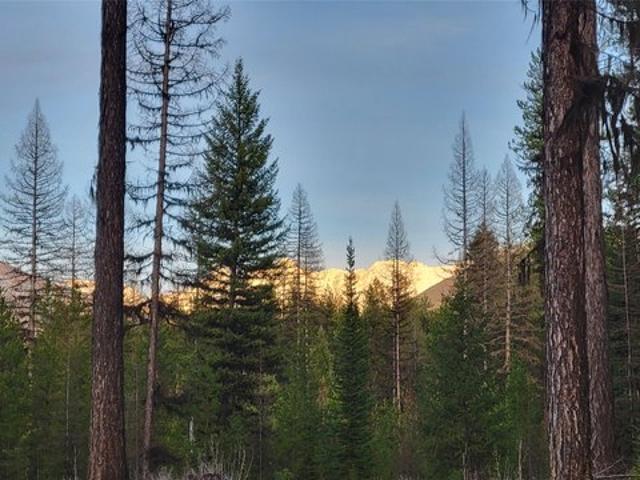 Land for sale in Bigfork, Montana