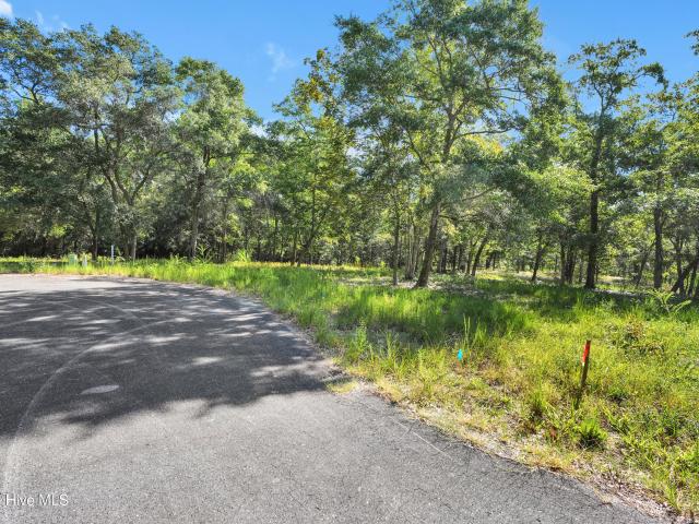 Land for sale in Shallotte, Brunswick County