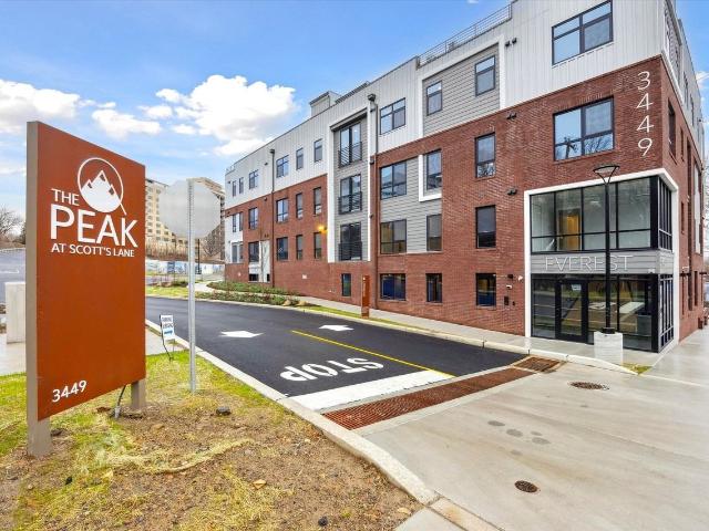 Apartment for rent in East Falls, Philadelphia