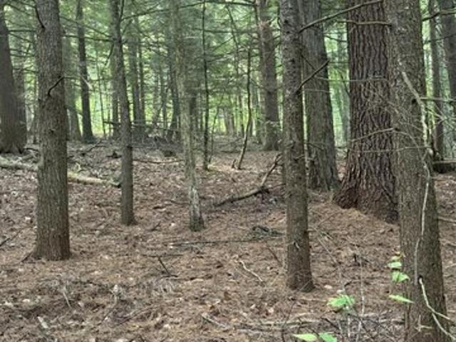 Land for sale in Bolton Landing, New York