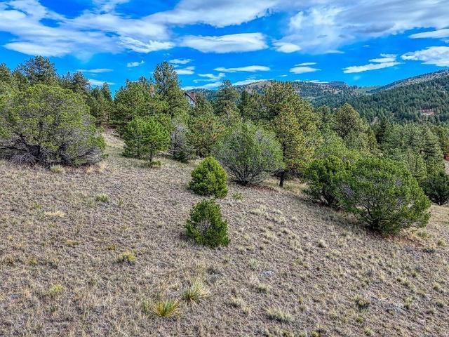 Land for sale in Rosita, Westcliffe
