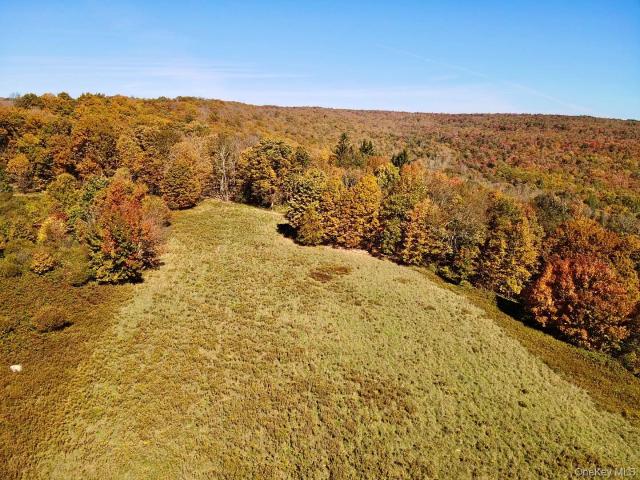 Land for sale in Claryville, New York