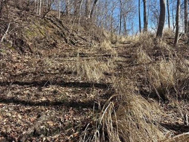 Land for sale in Mars Hill, North Carolina