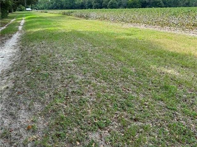 Land for sale in Brooklet, Bulloch County