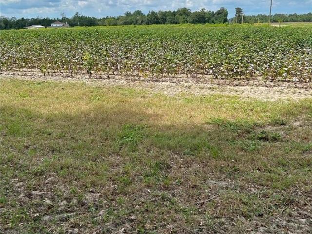 Land for sale in Brooklet, Georgia