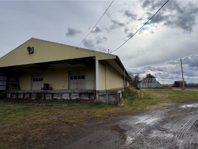 Commercial for sale in Cayuga, New York