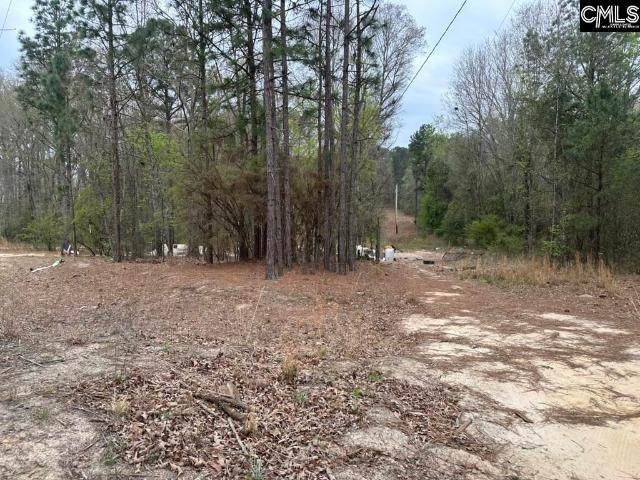 Land for sale in Pelion, South Carolina