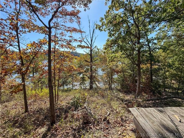 Land for sale in Stover, Morgan County