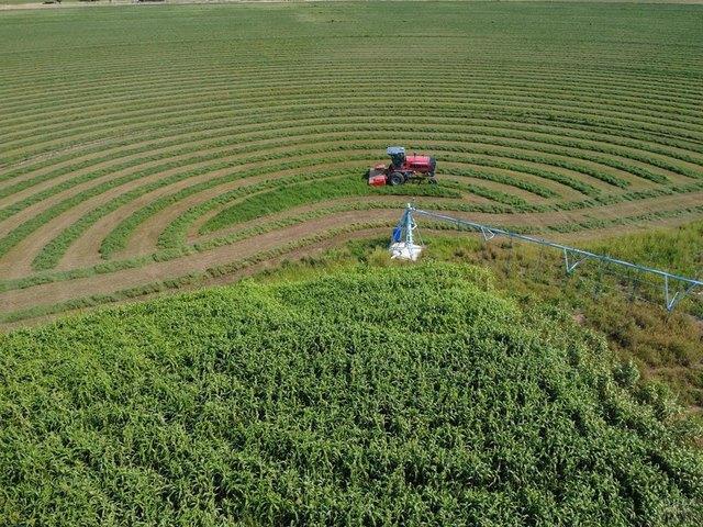 Farm for sale in Cheraw, Colorado