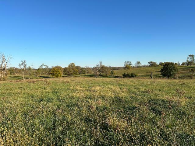 Land for sale in Georgetown, Scott County
