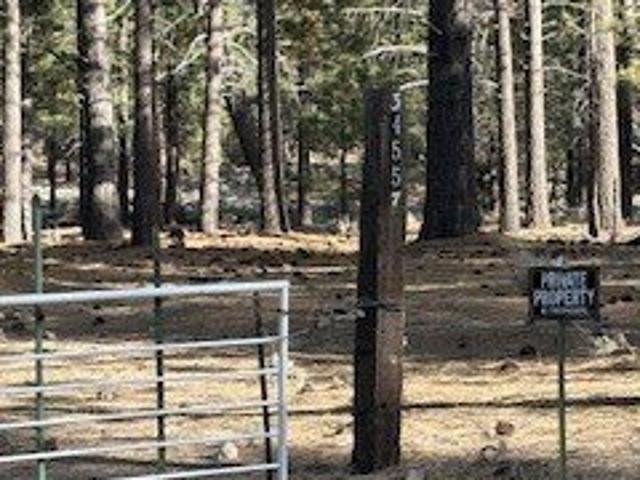 Land for sale in Fawnskin, San Bernardino County