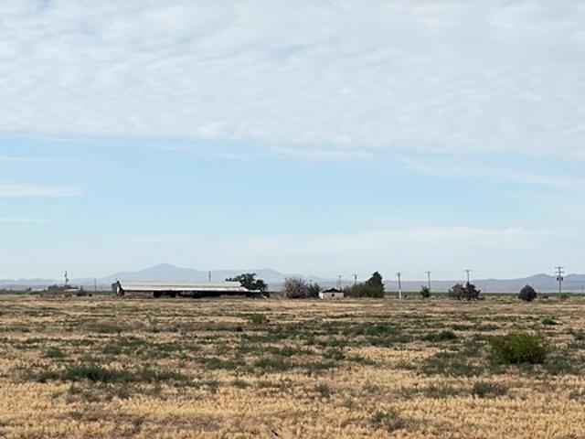 Farm for sale in Luna, New Mexico