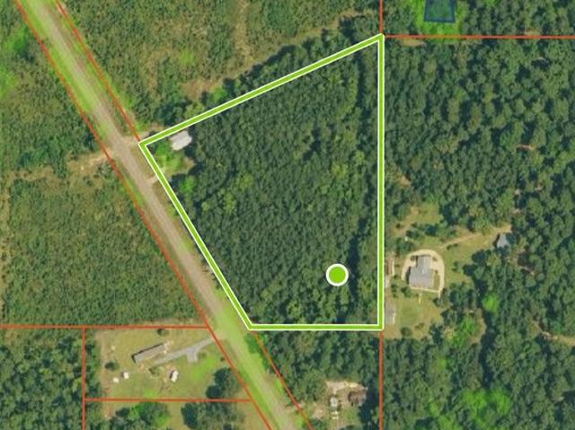 Land for sale in Bienville, Louisiana