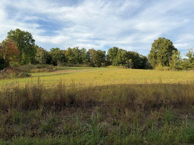 Land for sale in Needmore, Morgantown