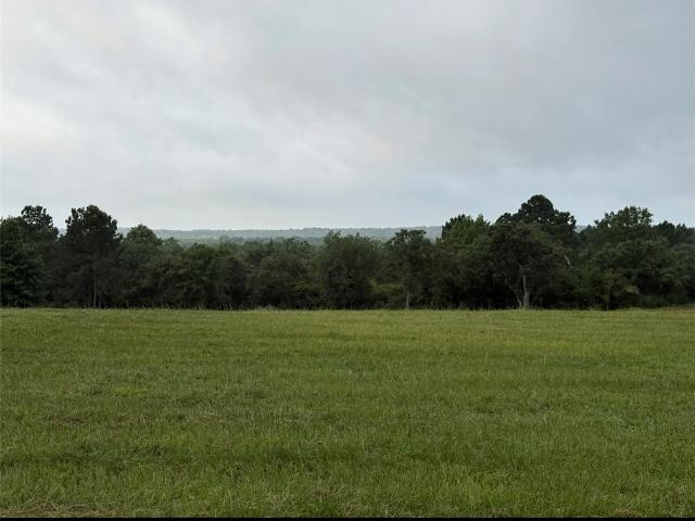 House for sale in Leon, Texas