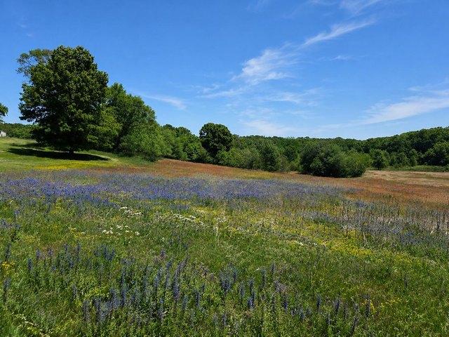 Land for sale in Coloma, Michigan