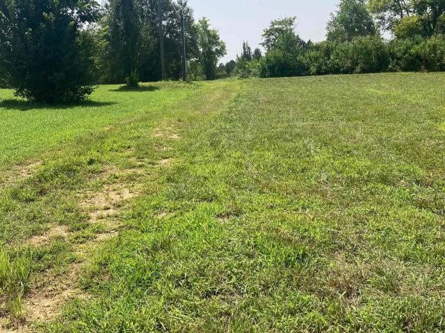 Land for sale in Alabama
