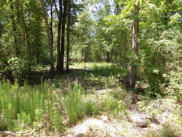 Land for sale in Kennard, Texas