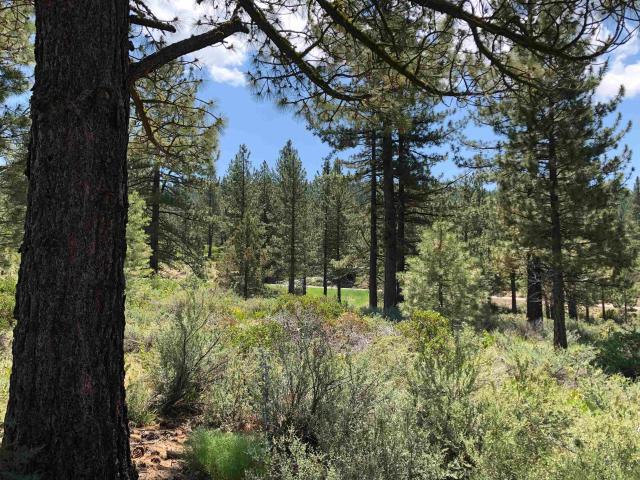Land for sale in California