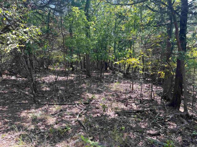 Land for sale in Yellville, Marion County