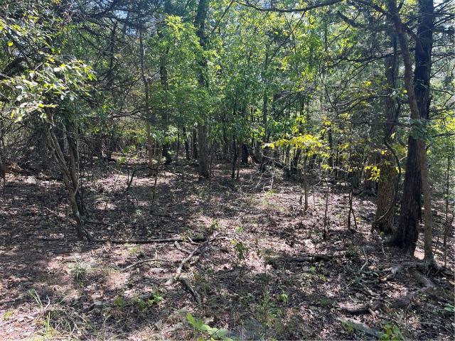 Land for sale in Yellville, Marion County