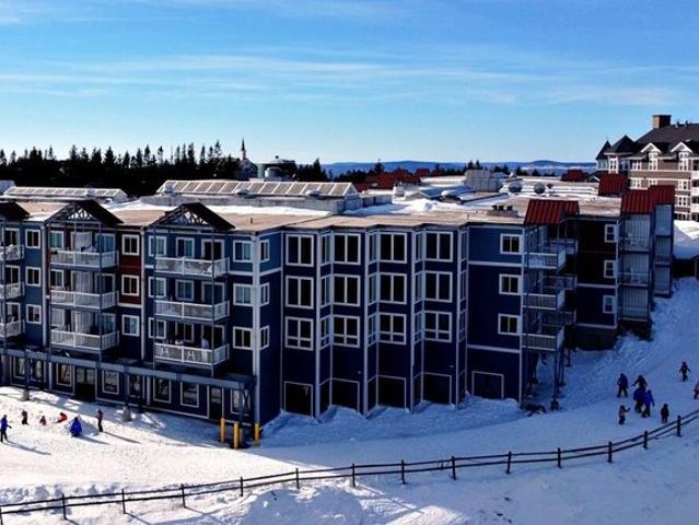 Condo for sale in Snowshoe, West Virginia