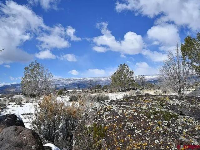 Land for sale in Cedaredge, Colorado