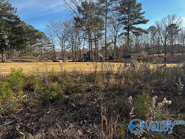 Land for sale in Alabama