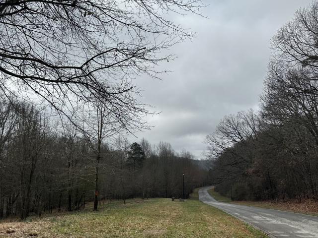 Land for sale in Gainesville, Georgia