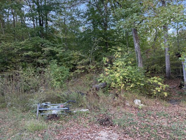 House for sale in Lower Holly Creek, Iron City