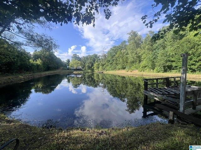 House for sale in Ohatchee, Alabama