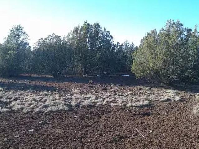 House for rent in Navajo, Arizona