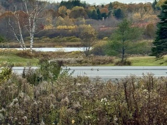 Land for sale in East Machias, Maine