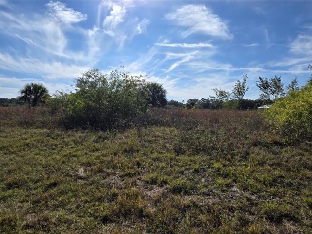 Land for sale in Labelle, Florida