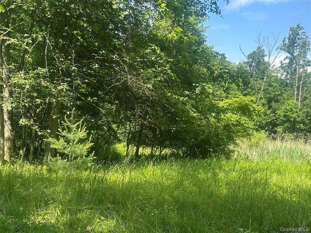 Land for sale in Accord, New York