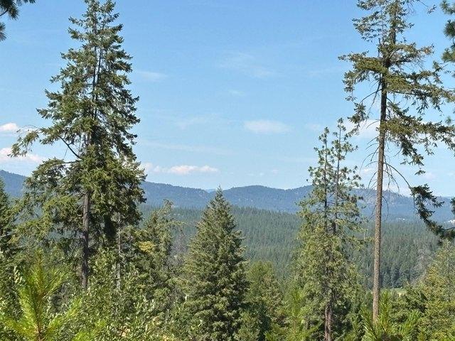 Land for sale in Chattaroy, Washington