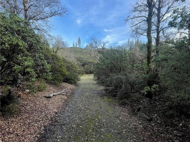 Land for sale in Lake, California