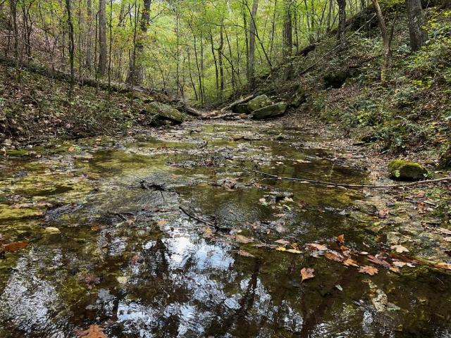 Land for sale in Ava, Missouri